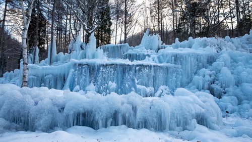 Subzero Forest - Khu rừng băng giá kỳ ảo vùng Hida, Nhật Bản