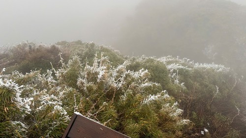 Dự báo thời tiết ngày 12/1: Bắc Bộ rét sâu, vùng núi đề phòng băng giá