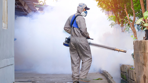 Nguy cơ dịch bệnh kép Sốt xuất huyết và Tay chân miệng đầu năm 2026