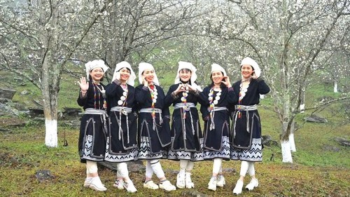 Lễ hội hoa lê Hồng Thái - điểm hẹn mùa Xuân vùng cao Tuyên Quang