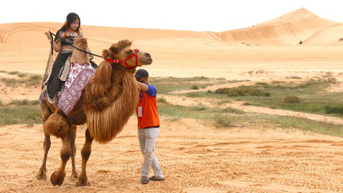 Xây dựng Khu du lịch quốc gia Mũi Né thành điểm đến hàng đầu khu vực châu Á - Thái Bình Dương