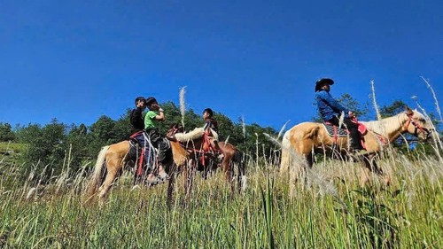 Cưỡi ngựa trải nghiệm Cực Bắc - Sản phẩm du lịch độc đáo