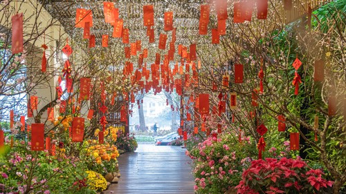 Khu vườn mùa Xuân giữa phố phường Hà Nội