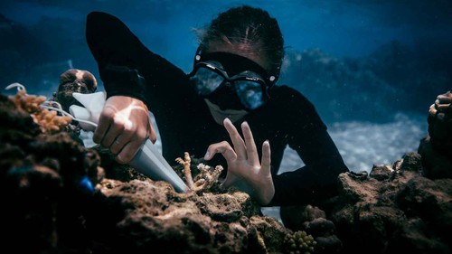 Tái tạo: Xu hướng du lịch mới hướng đến việc khôi phục thiên nhiên