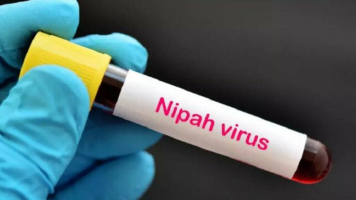 Thái Lan cảnh báo trẻ nhỏ là nhóm dễ bị tổn thương nhất do virus Nipah