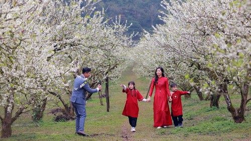 Tết Nguyên đán Bính Ngọ 2026 - tín hiệu tích cực, tạo tăng trưởng du lịch năm 2026