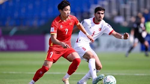 Đình Bắc, SLNA và chuyện cây tre ở xứ Nghệ