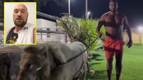 Cựu vô địch thế giới dắt sư tử đi dạo, gửi lời thách đấu tới võ sĩ "vua giang hồ''