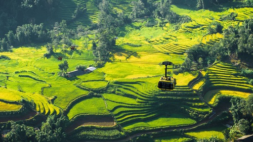 Sa Pa được chọn là điểm đến lý tưởng cho người tuổi Sửu năm 2026 