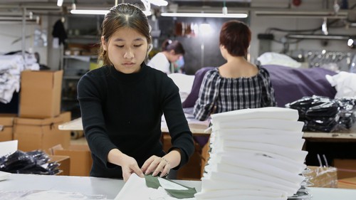 Tiến hành Tổng điều tra kinh tế năm 2026 trên toàn quốc