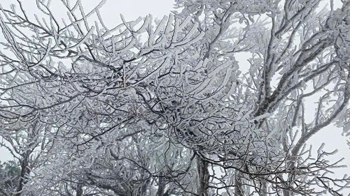 Dự báo thời tiết đêm 6/1, ngày 7/1: Xuất hiện rét hại ở một số nơi