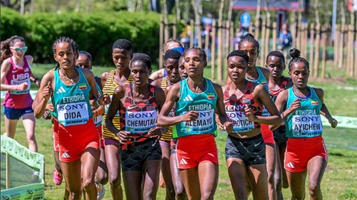 Ứng viên hàng đầu ở giải vô địch việt dã thế giới có thể trắng tay vì lý do bất ngờ