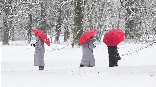 Bão càn quét châu Âu, nhiều nước thiệt hại nghiêm trọng
