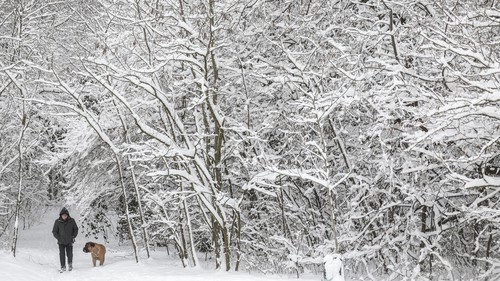 Châu Âu chật vật trong băng tuyết, ít nhất 8 người thiệt mạng