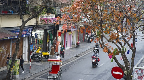 Dự báo thời tiết ngày 11/2: Nền nhiệt tăng, thời tiết ấm dần ở Bắc Bộ, Bắc Trung Bộ