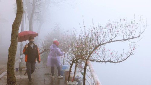 Dự báo thời tiết ngày 13/2: Bắc Bộ trời lạnh và có sương mù, Nam Bộ ngày nắng