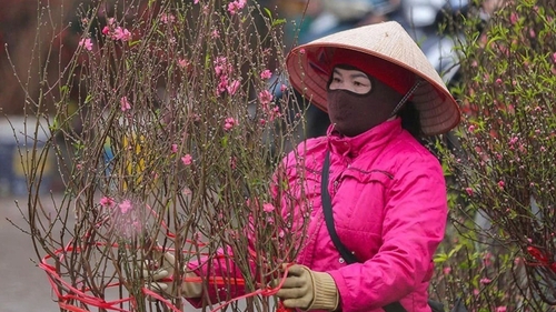 Dự báo thời tiết ngày 12/2: Bắc Bộ, Bắc Trung Bộ duy trì tình trạng rét về đêm và sáng sớm
