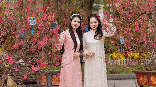 Ngắm đào cổ, xin chữ ông đồ dịp Tết tại không gian hoa Xuân ở Hồ Hoàn Kiếm