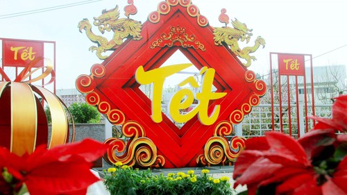 Rực rỡ đường hoa Xuân đón Tết Bính Ngọ 2026