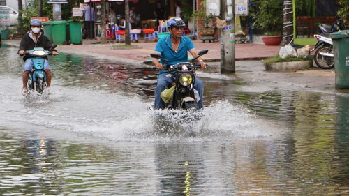 Xuất hiện triều cường trong dịp Tết ở khu vực ven biển Đông Nam Bộ