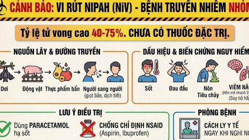 Bộ Y tế ban hành hướng dẫn "ứng phó" vi rút Nipah 