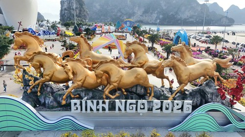 Từ chiều tối và đêm 17/2, không khí lạnh tăng cường mạnh gây rét đậm ở vùng núi Bắc Bộ và Thanh Hóa