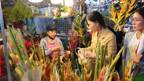 Đi chợ hoa đêm để được 'chạm' vào Tết