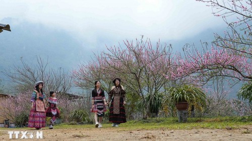 Tết của đồng bào Dao Khâu ở vùng cao Sìn Hồ