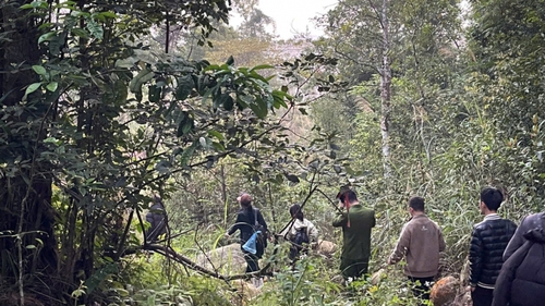 Kịp thời tìm kiếm, đưa 4 du khách lạc rừng Tây Yên Tử về nơi an toàn