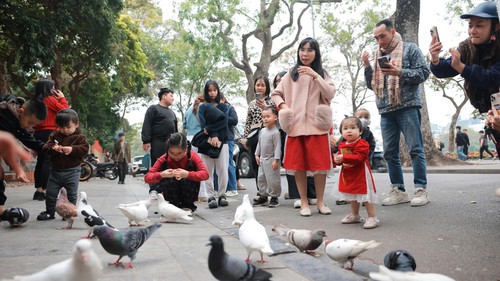 Tết Nguyên đán Bính Ngọ: Du lịch khởi sắc, đón 14 triệu lượt khách