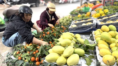 Hàng hóa, thực phẩm sau Tết sôi động trở lại, giá giảm nhẹ