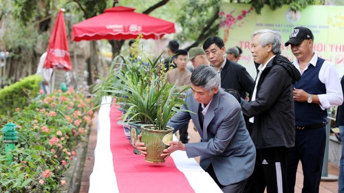 Du khách tham gia Chợ Tết "Sắc xuân Thành Nam"