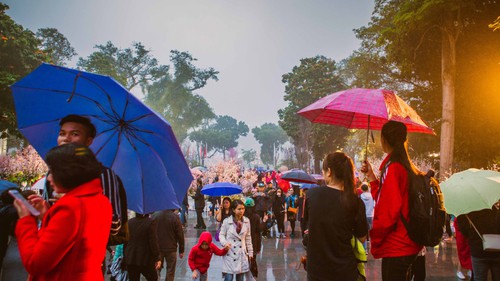 Dự báo thời tiết ngày 24/2: Mưa rải rác ở Bắc Bộ, Nam Bộ có dông chiều tối