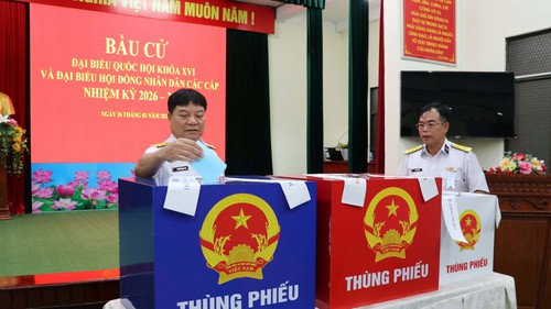 Cử tri TP HCM làm việc dài ngày trên biển bỏ phiếu sớm