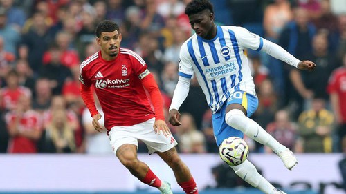 Nhận định, soi tỷ lệ Brighton vs Nottingham Forest 21h00 ngày 01/03, Ngoại hạng Anh