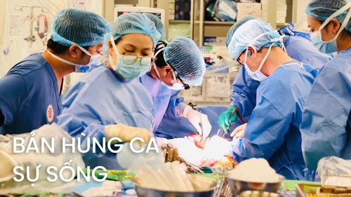 Bản hùng ca sự sống - Kỳ 2: Đỉnh cao y học Việt Nam: Khi bàn tay làm chủ sự sống
