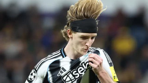 Nhận định, soi tỷ lệ Newcastle vs Everton 22h ngày 28/02, Ngoại hạng Anh