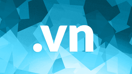 Lần đầu tiêu đấu giá tên miền hiếm 2 ký tự quốc gia “.vn”