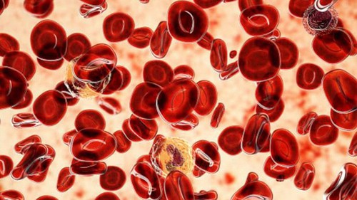 WHO: Có thể phòng ngừa tới 40% số ca ung thư trên toàn cầu