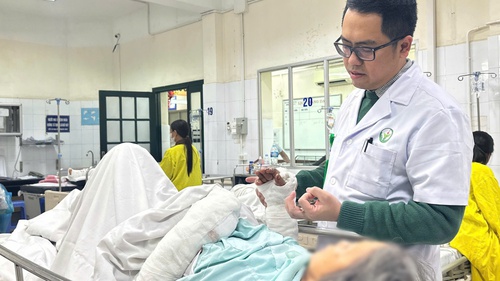 Hiểm họa chó thả rông: Cụ bà 75 tuổi nhập viện cấp cứu 