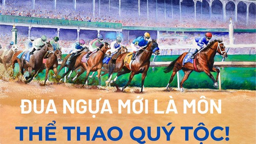 Đua ngựa mới là môn thể thao quý tộc!