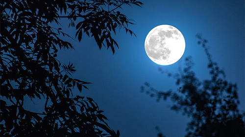 Chào tuần mới: "Cột mốc" rằm tháng Giêng