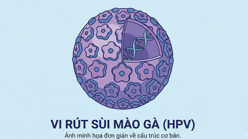Phụ nữ mang thai mắc sùi mào gà: "Bó tay" chờ đẻ hay đối diện nguy cơ lây cho con?