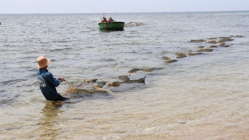 Thời tiết dịp bầu cử: Đông Nam Bộ có nơi nắng nóng