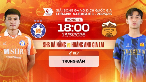 Link xem trực tiếp bóng đá SHB Đà Nẵng vs Hoàng Anh Gia Lai 18h00 hôm nay, V-League vòng 16