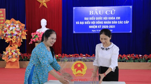 Bầu cử Quốc hội và HĐND: Đảm bảo các cử tri đều tự tay bỏ lá phiếu của mình