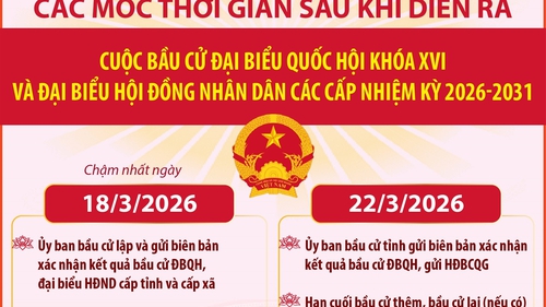 Các mốc thời gian sau khi diễn ra bầu cử Quốc hội khóa XVI và HĐND nhiệm kỳ 2026-2031