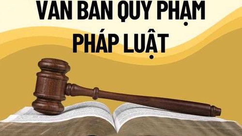 Chính phủ thống nhất nội dung Đề án về tổng rà soát hệ thống văn bản quy phạm pháp luật