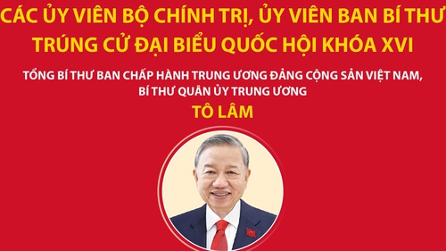 Các Ủy viên Bộ Chính trị, Ủy viên Ban Bí thư trúng cử đại biểu Quốc hội khóa XVI