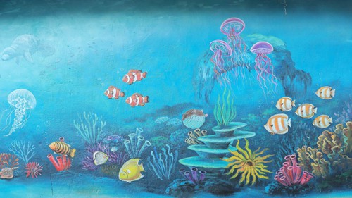 Hài hòa giữa phát triển du lịch và bảo tồn biển trên đảo An Bình